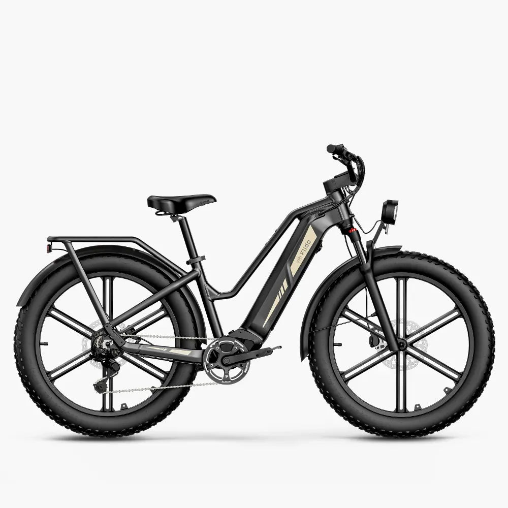 Fiido Titan Fat Tire Touring & Cargo E-Bike — UL-Certified