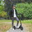 INMOTION Air official product image 7