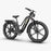 Fiido Titan Fat Tire Touring & Cargo E-Bike — UL-Certified