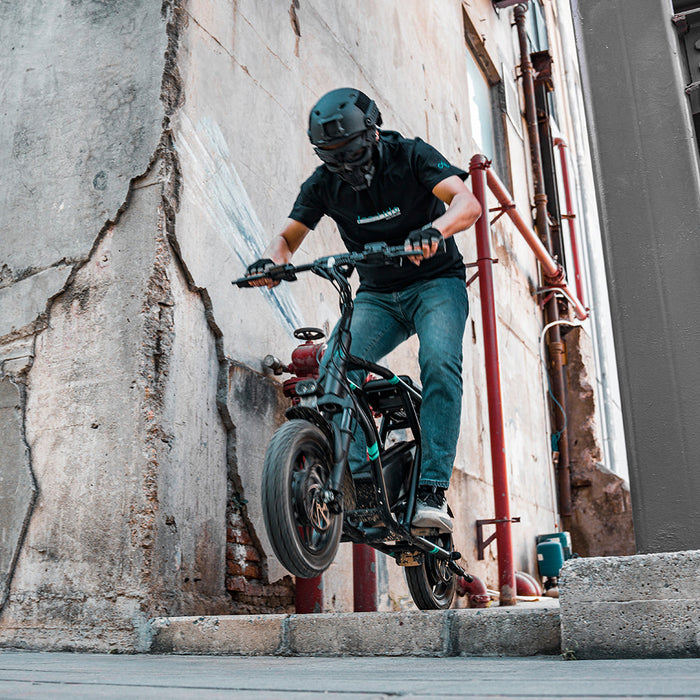 Fiido Q2 Dual-Motor Folding Electric Scooter — 1200W, IP54