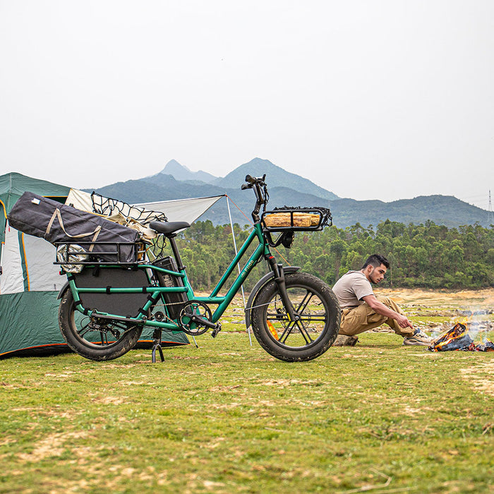 Fiido T2 Longtail Cargo E-Bike — 750W, 200kg Payload